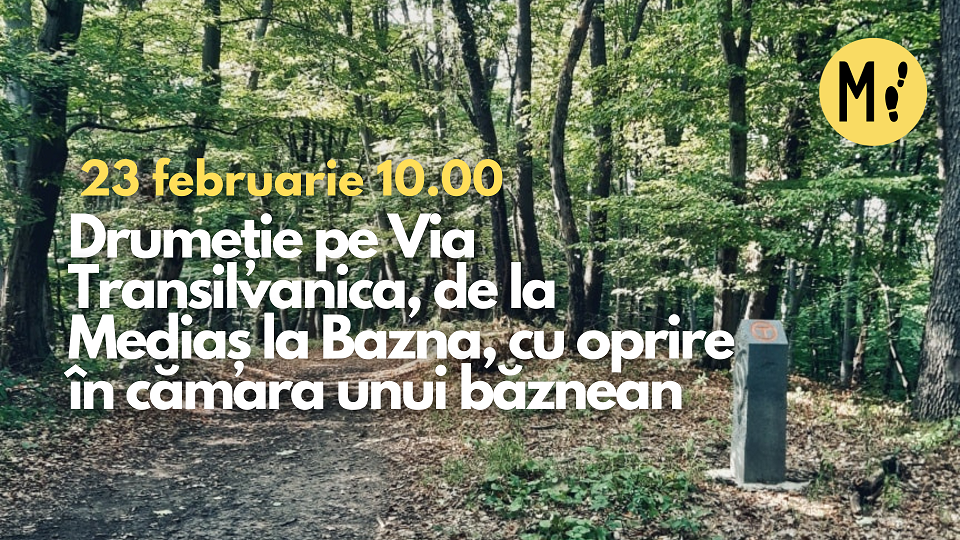 Drumeție pe Via Transilvanica, Mediaș - Bazna, cu oprire în cămara