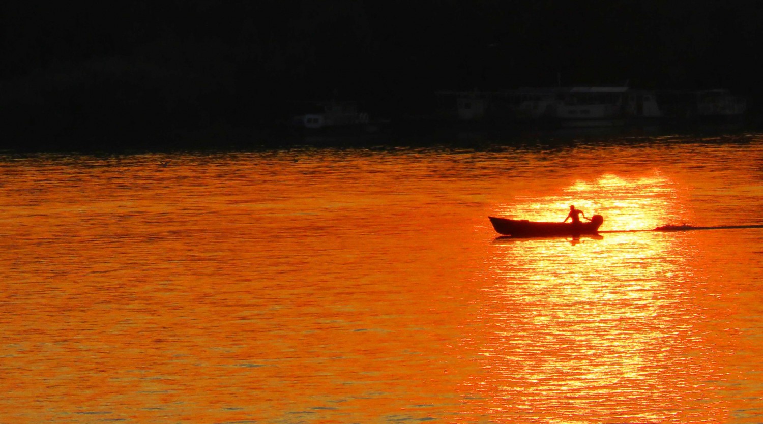 Danube Delta by Bike & Boat