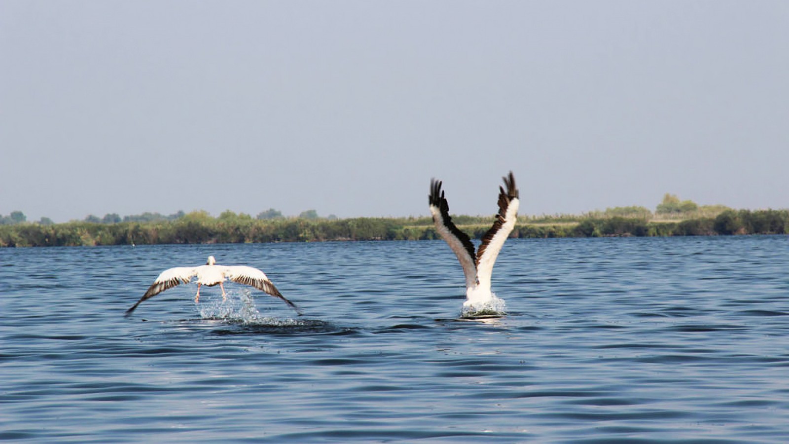 Danube Delta by Bike & Boat