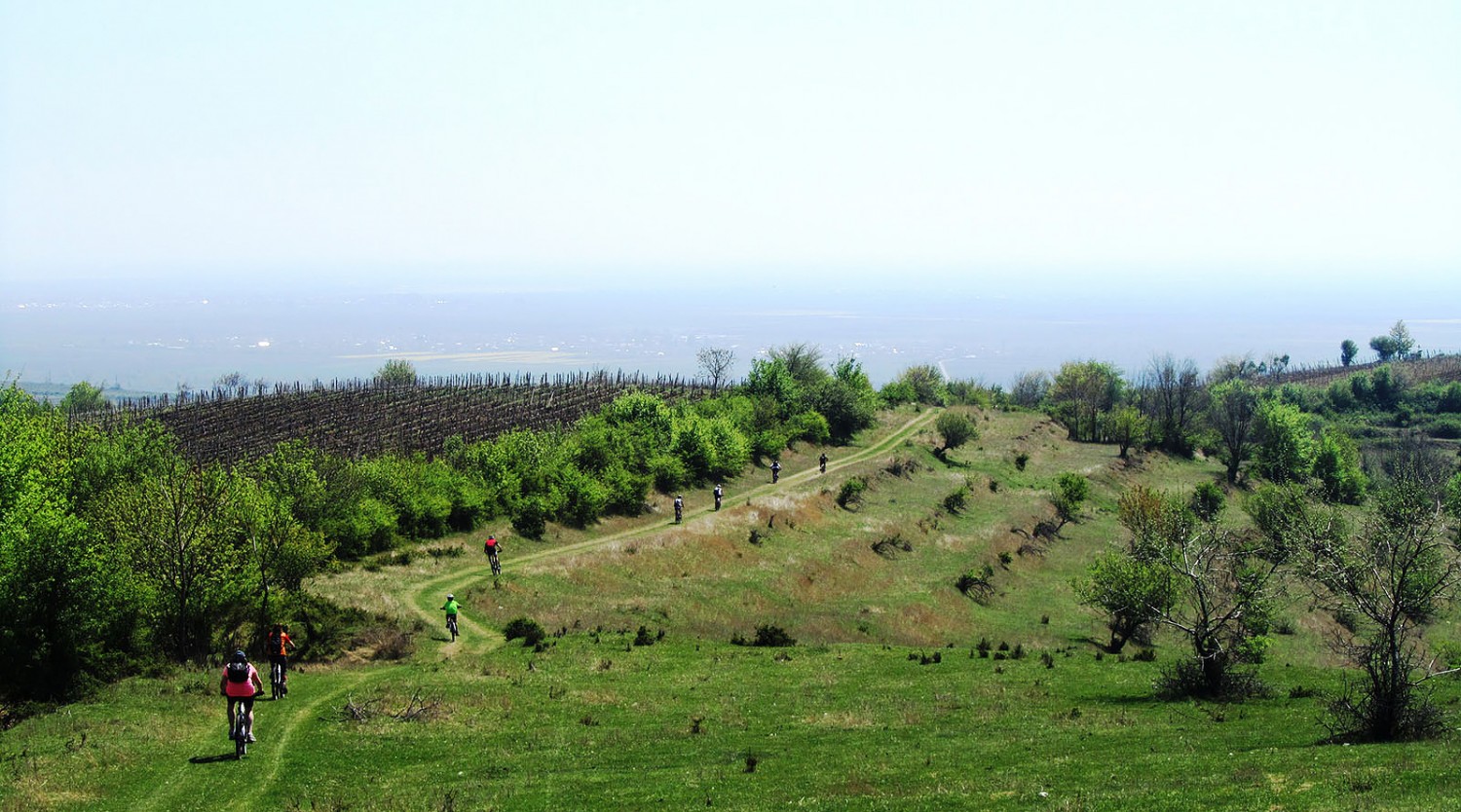 One Day Wine Route by Bike