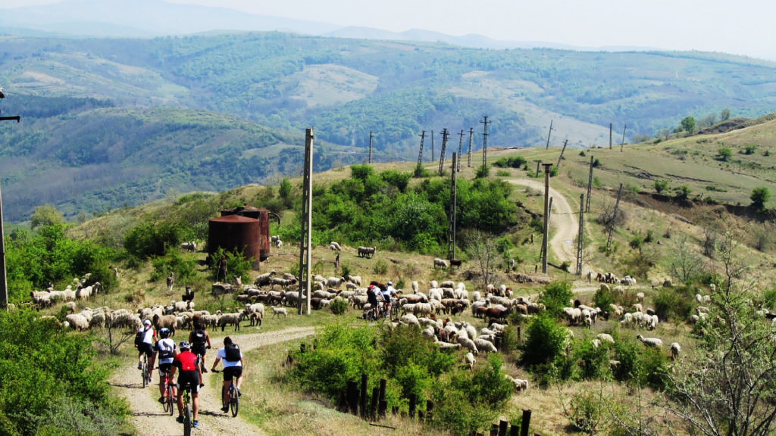 One Day Wine Route by Bike