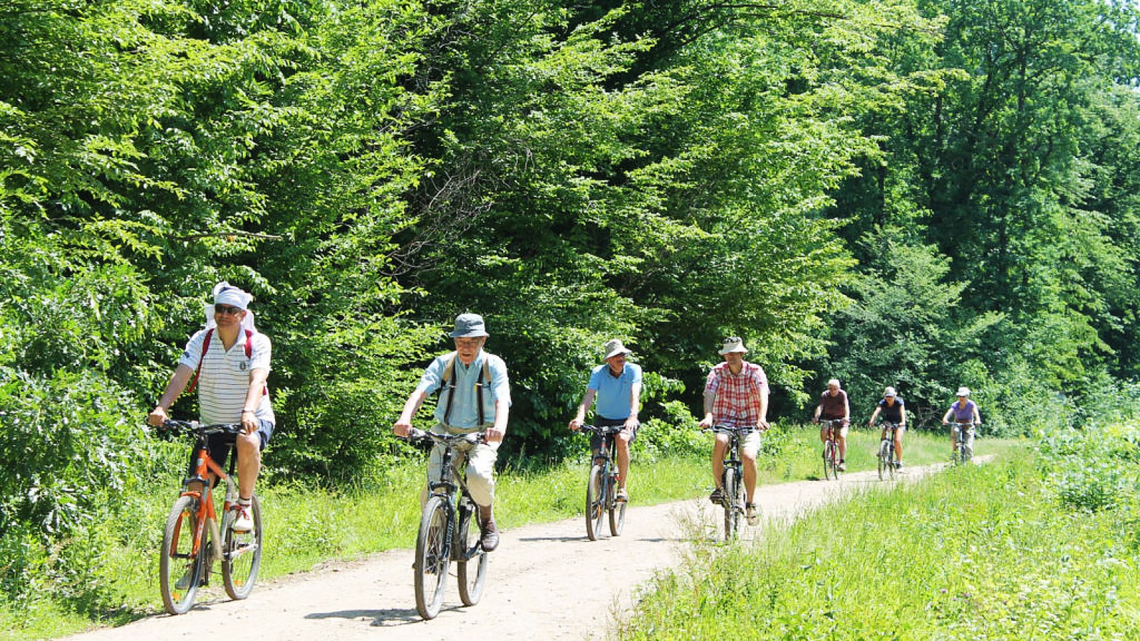 Wine Route by Bike