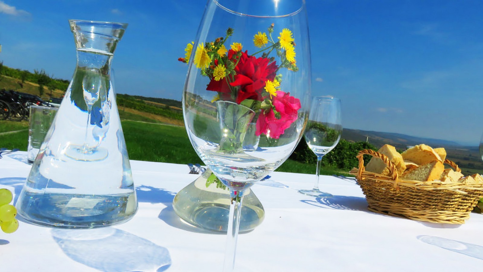 Wine Route by Bike