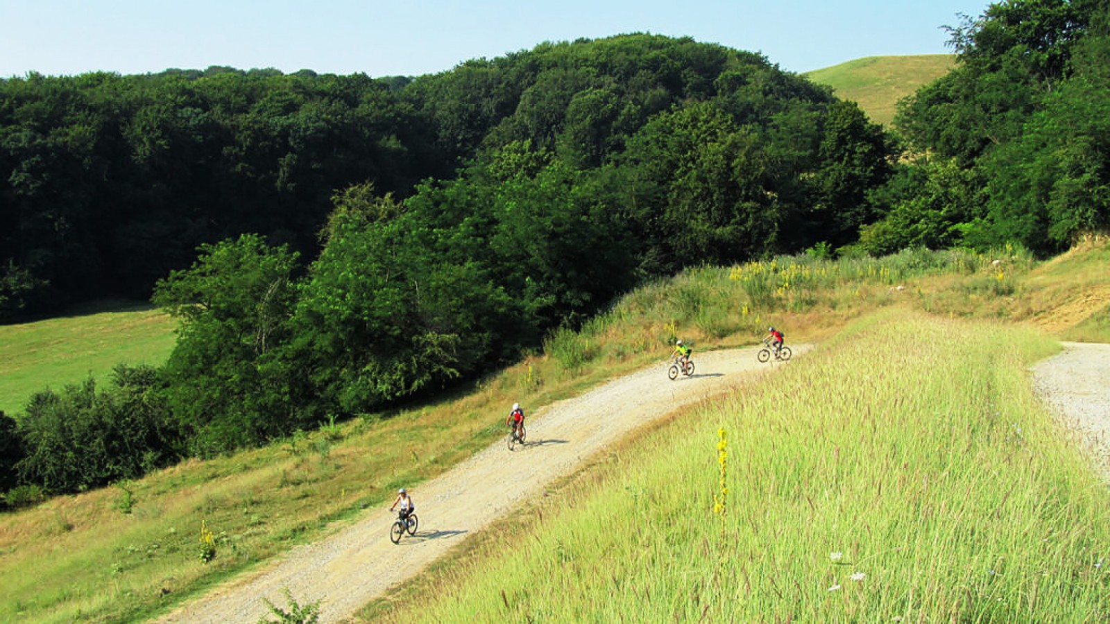 Gravel Tour in the Wilderness of Romania