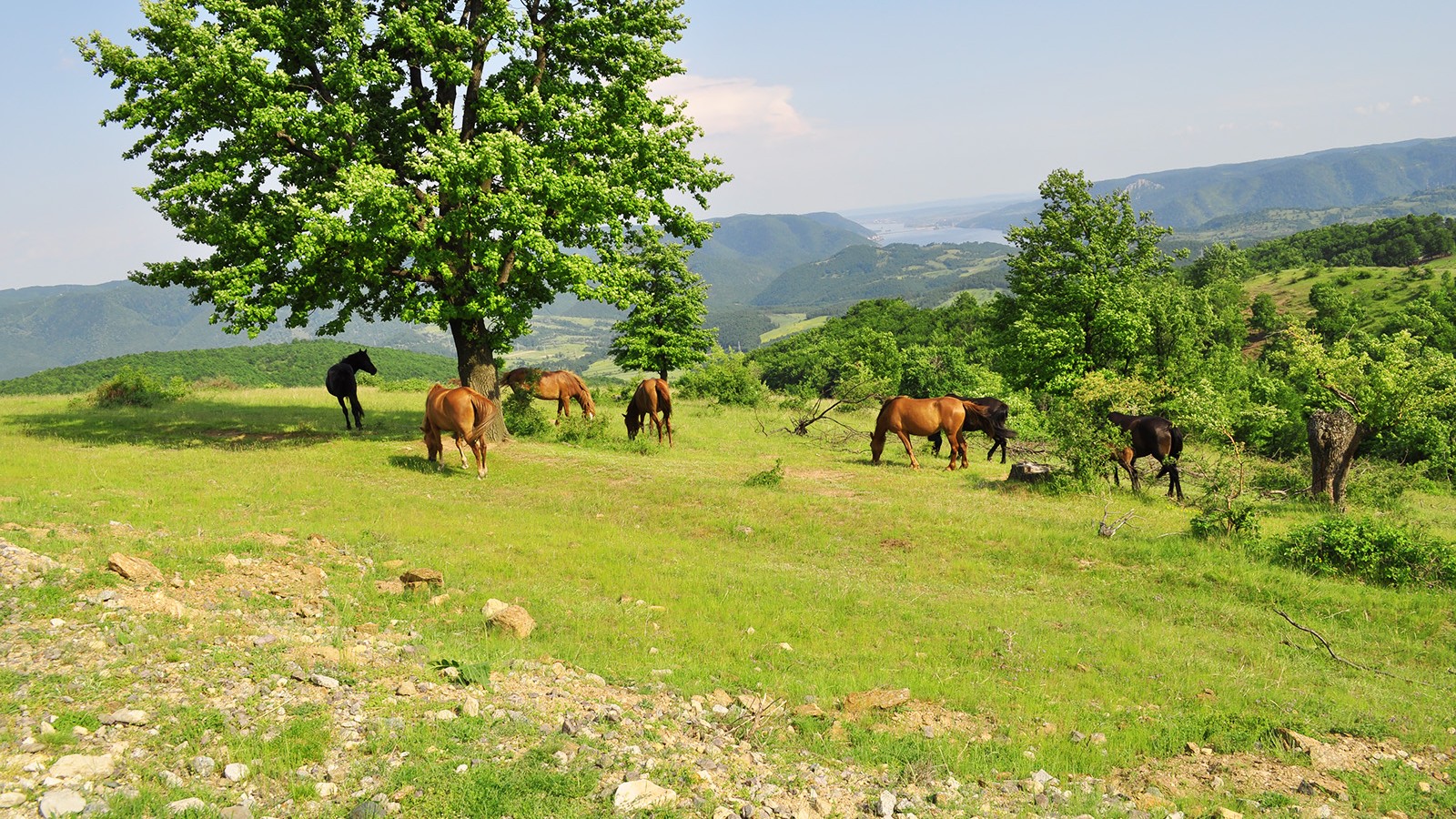 Danube Gorges by Bike & Boat