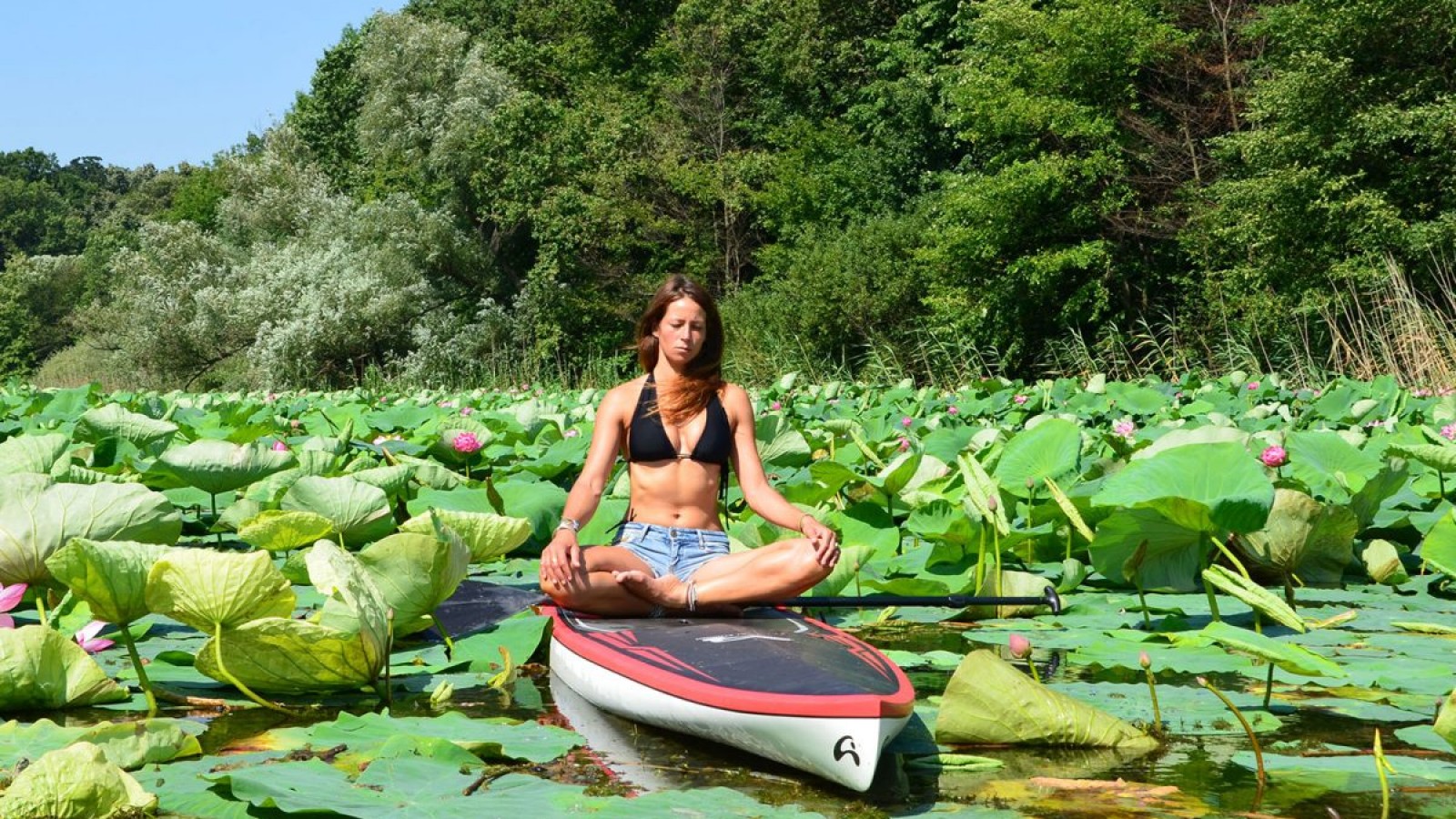 Explorează natura practicând Stand Up Paddle în Comana