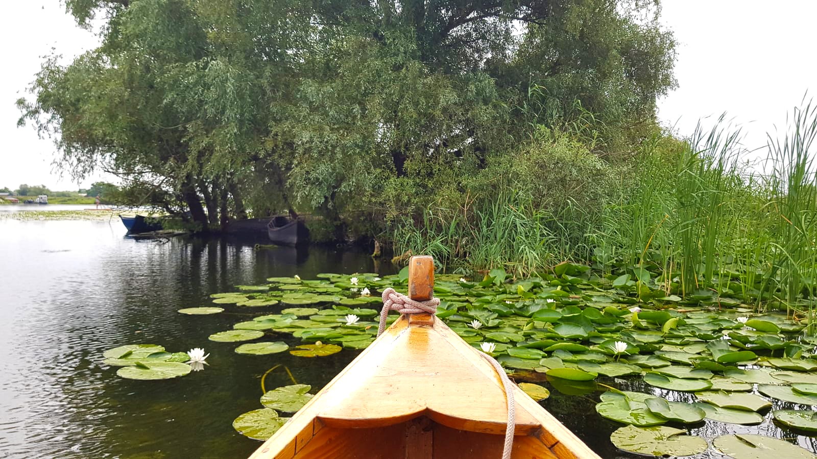 Explorează natura practicând Stand Up Paddle în Delta Dunării Mila 23