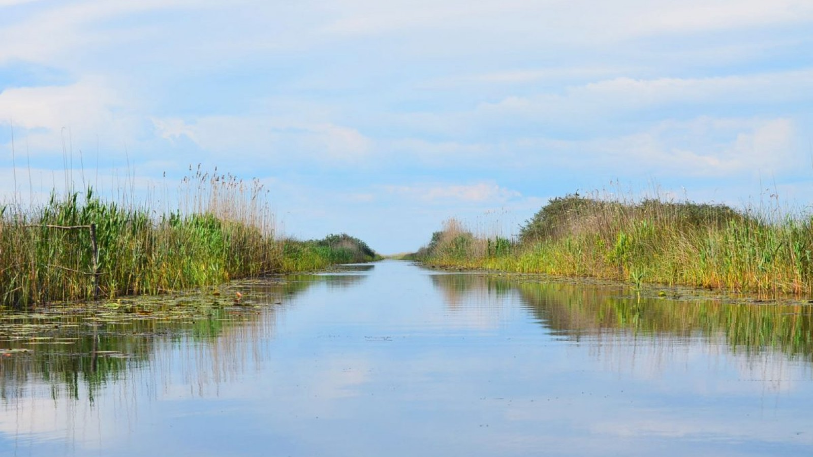 Explorează natura practicând Stand Up Paddle în Delta Dunării Mila 23