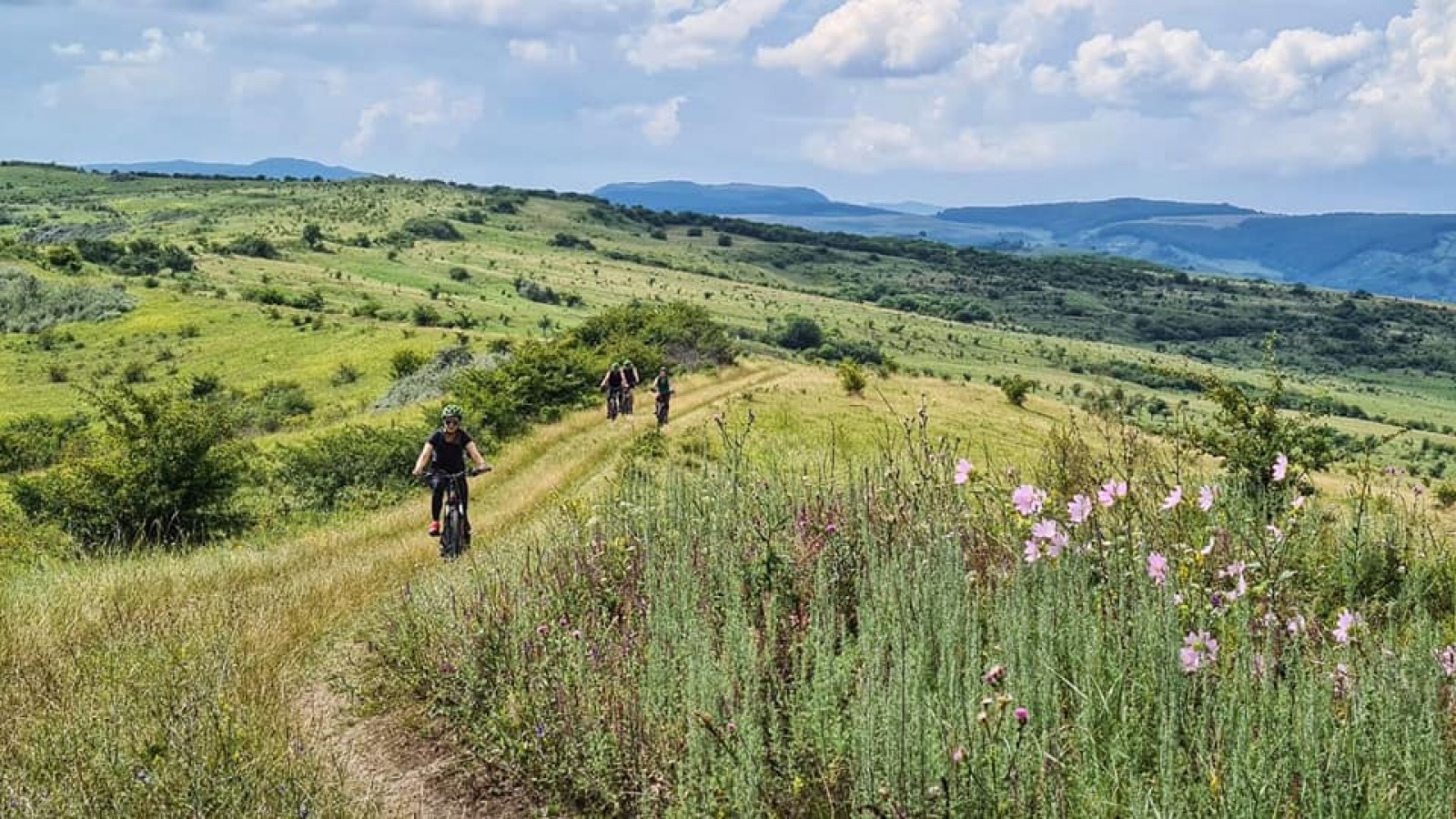 Vizitează pe E-bike Ținutul Fluturelui albastru - Cluj