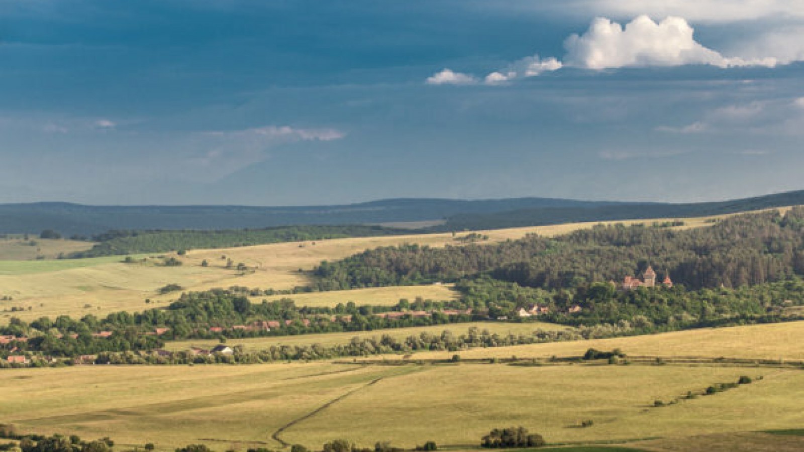 Plimbare pe cai in Viscri