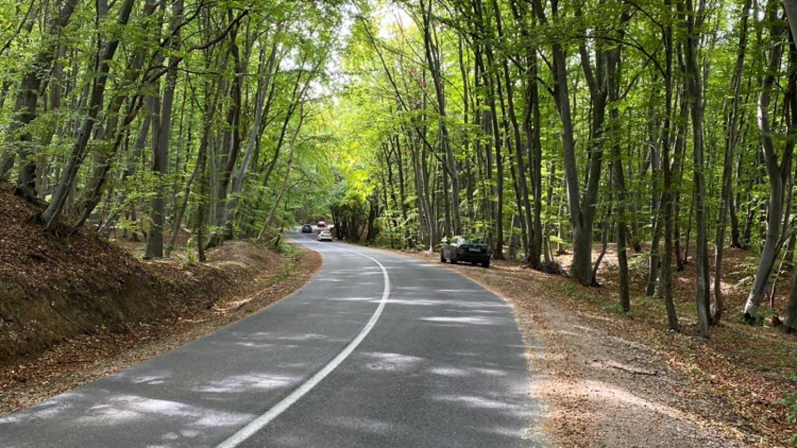 Traseu pe ebike spre Vârful Măgura