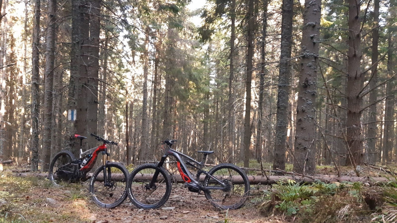 Explorează Munții Călimani pe ebike