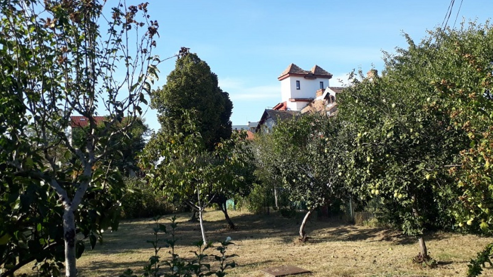 Casa Memorială „Tudor Arghezi – Mărțișor”